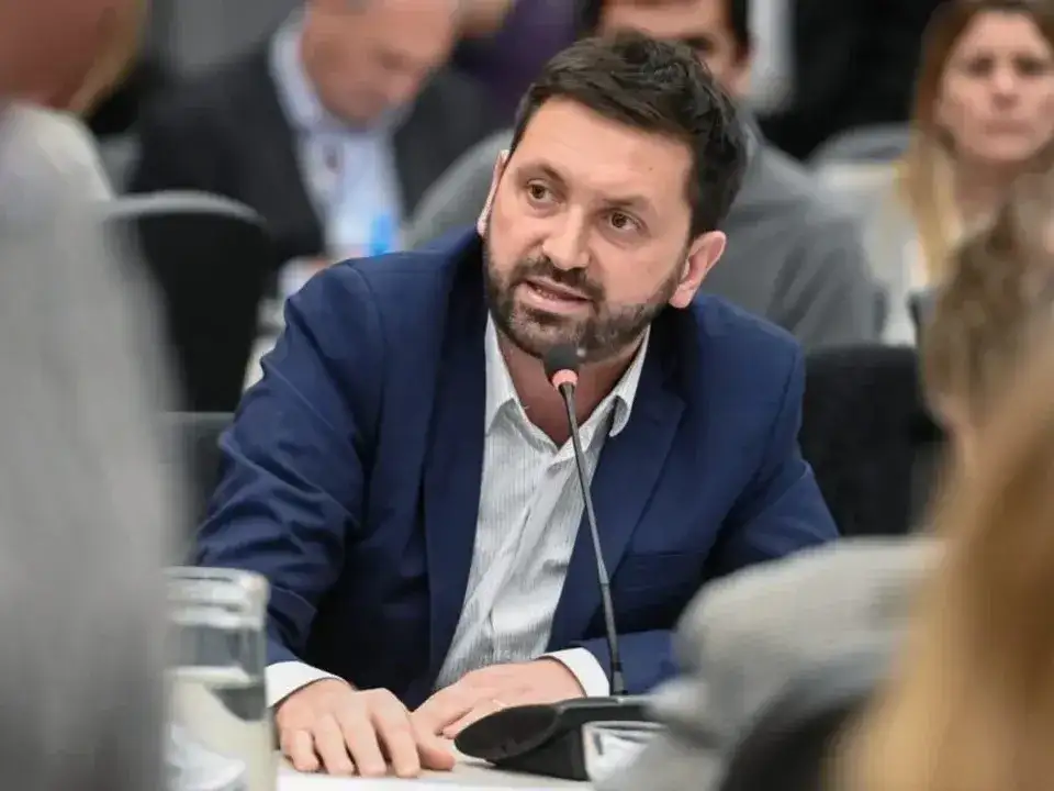 Diputado Pablo Juliano.