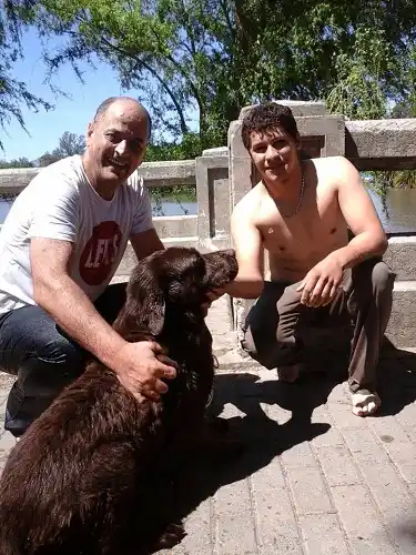 Video: Se tiraron al río Gualeguaychú para rescatar a un perro en problemas 