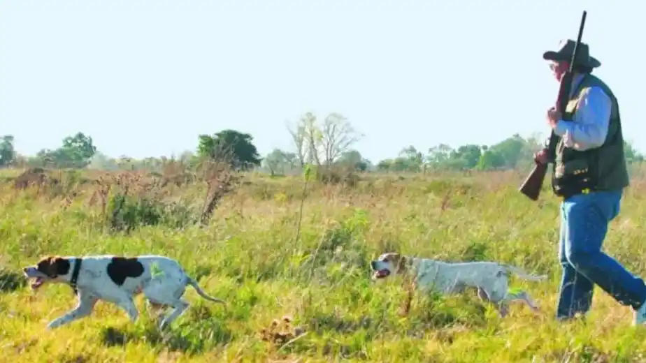 Convocan a audiencia pública por la temporada de caza menor 2026 en Entre Ríos