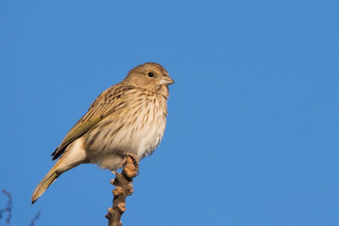 Guillermo Vidal - Fotógrafo - Disertará en una charla sobre fotografía de naturaleza "Belleza oculta de nuestra región " - 4
