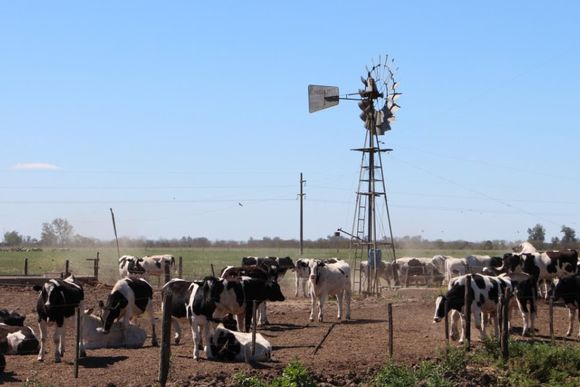 Impulso tambero: Santa Fe lidera las solicitudes de compensación para el sector