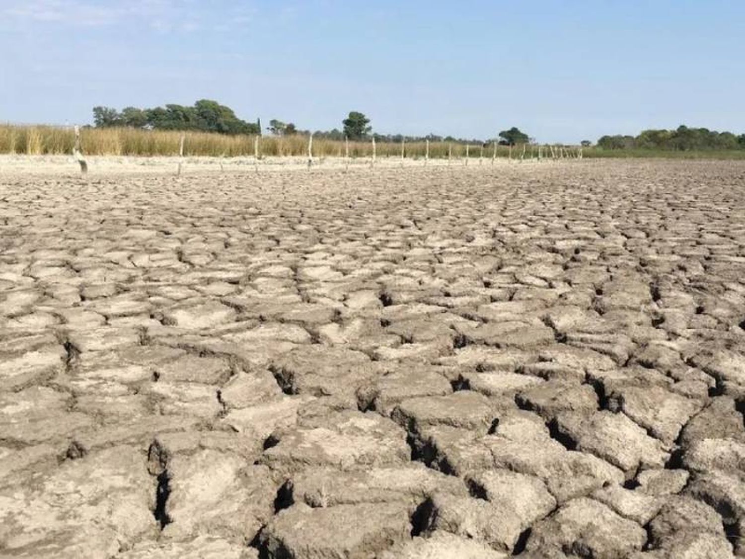 Sequía severa: casi toda la provincia de Santa Fe en rojo