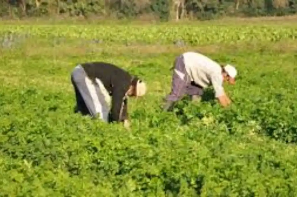 El gobierno bonaerense creó un programa de promoción de la agroecología