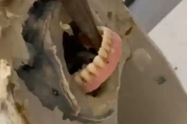 Video viral: se les tapó el inodoro y adentro encontraron la dentadura de su abuela