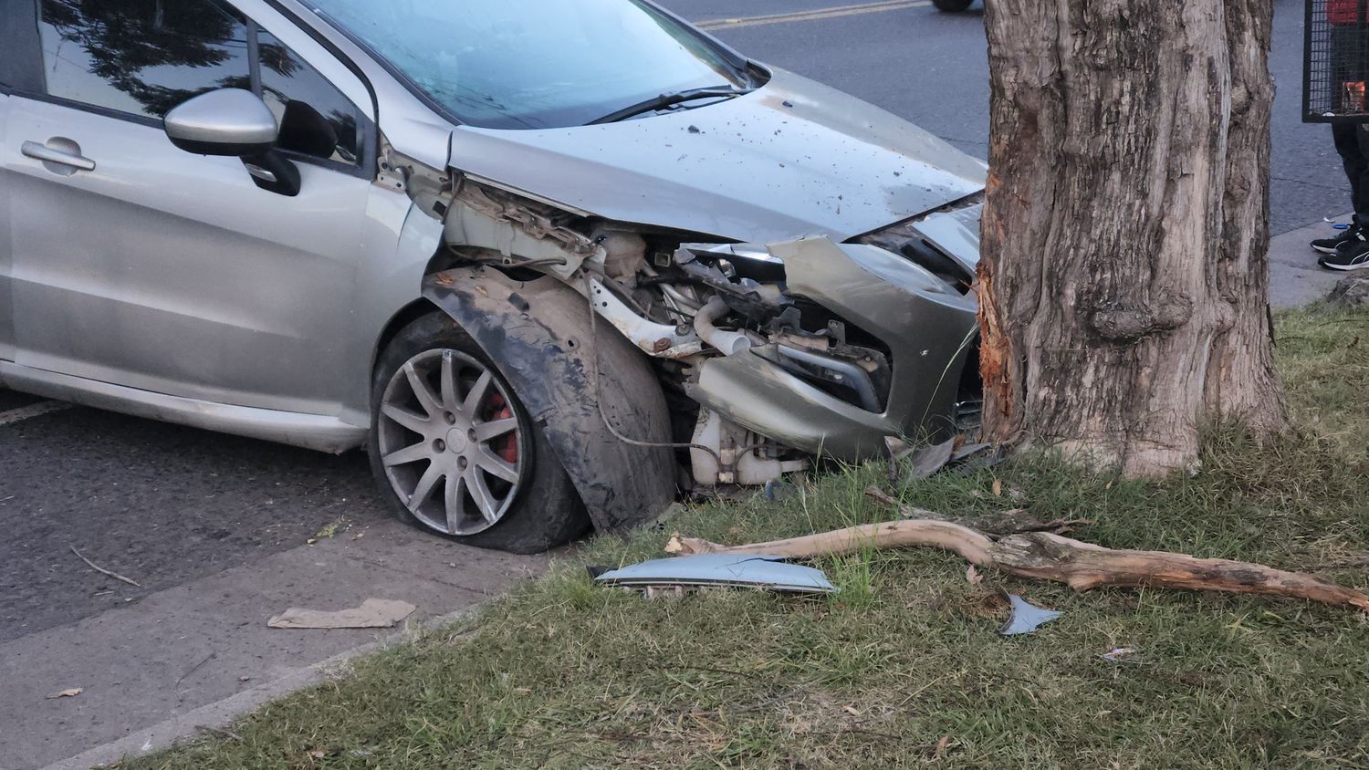 Cortó la semana a lo grande: pasada de copas, chocó contra un árbol en Av. Santa Fe