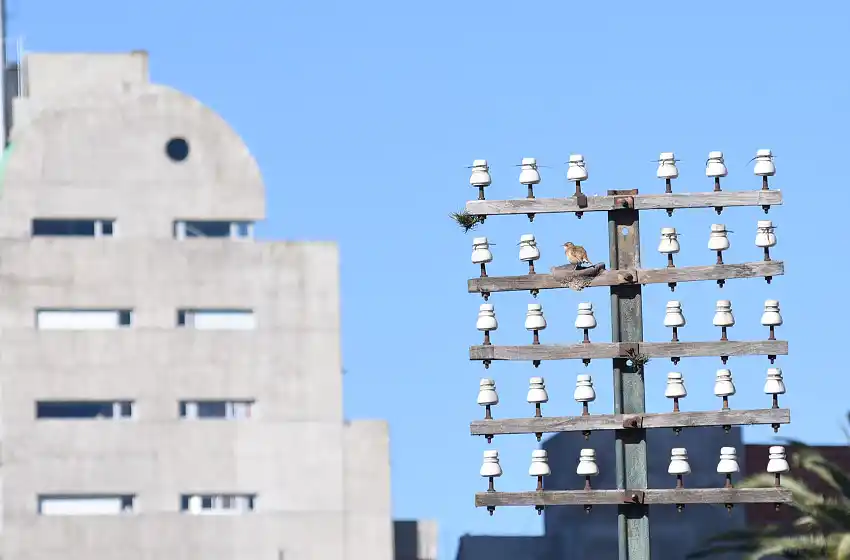 Sol y fresco: la dupla que rige esta mañana