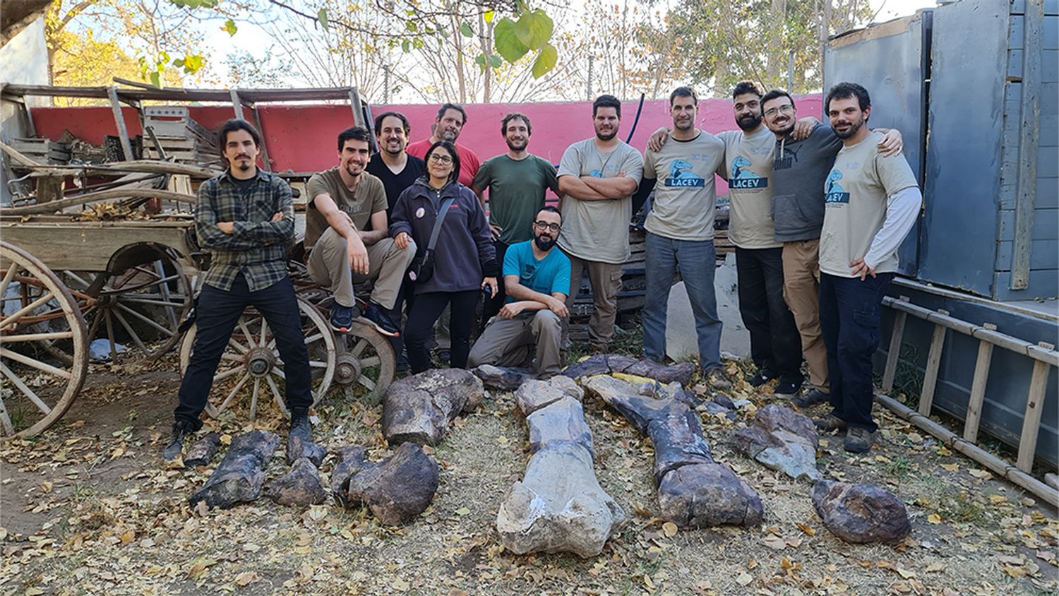 Río Negro: hallaron restos de un dinosaurio gigante de 90 millones de años