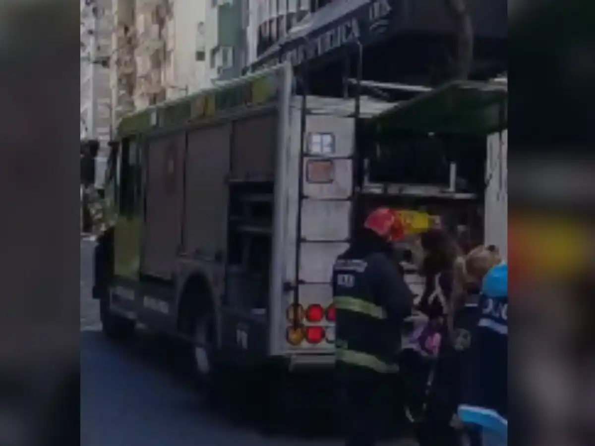Incendio en la cocina de un departamento: estalló la ventana y los gatos huyeron asustados