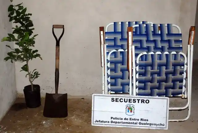 Entraron a robar y no le dejaron ni el arbolito