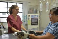Desde que logró una sede propia, la Protectora de Animales atendió unos 26 mil animales