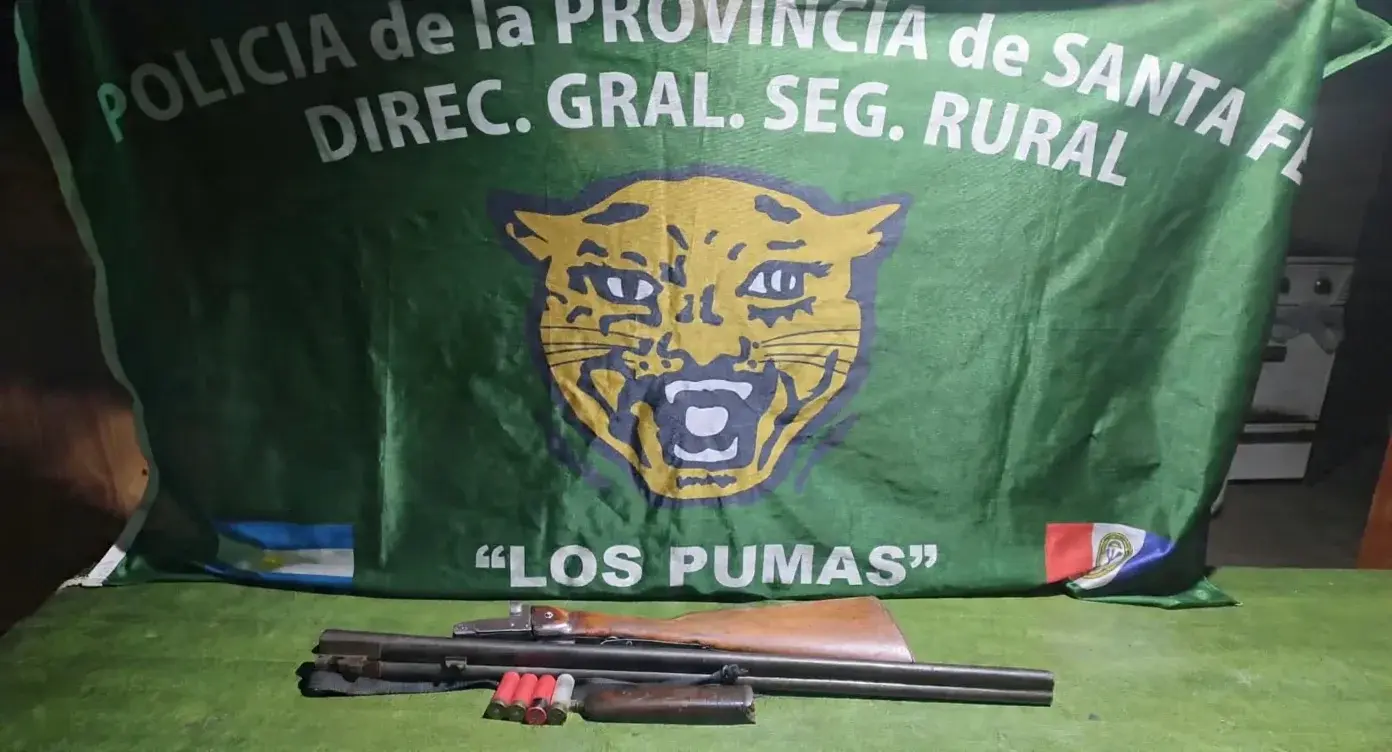 Secuestraron armas y dos ciervos axis faenados en la zona de Islas