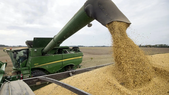 "El sector agropecuario no puede seguir siendo la caja del Estado": ruralistas reclaman por retraso en devolución de IVA