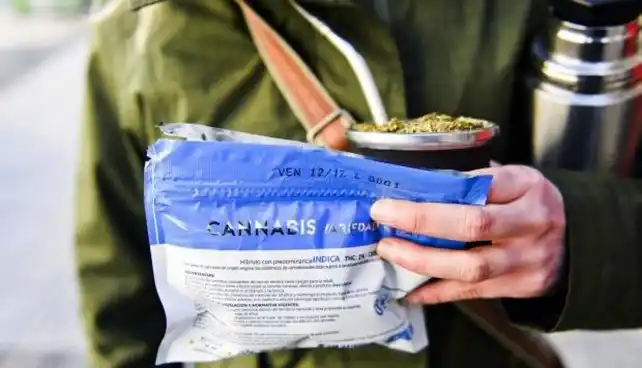 Uruguay: Cuatro años de la legalización de la marihuana