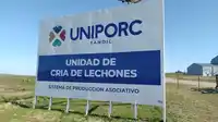 Uniporc Tandil entre las mejores granjas porcinas del país recibió el premio a la eficiencia productiva