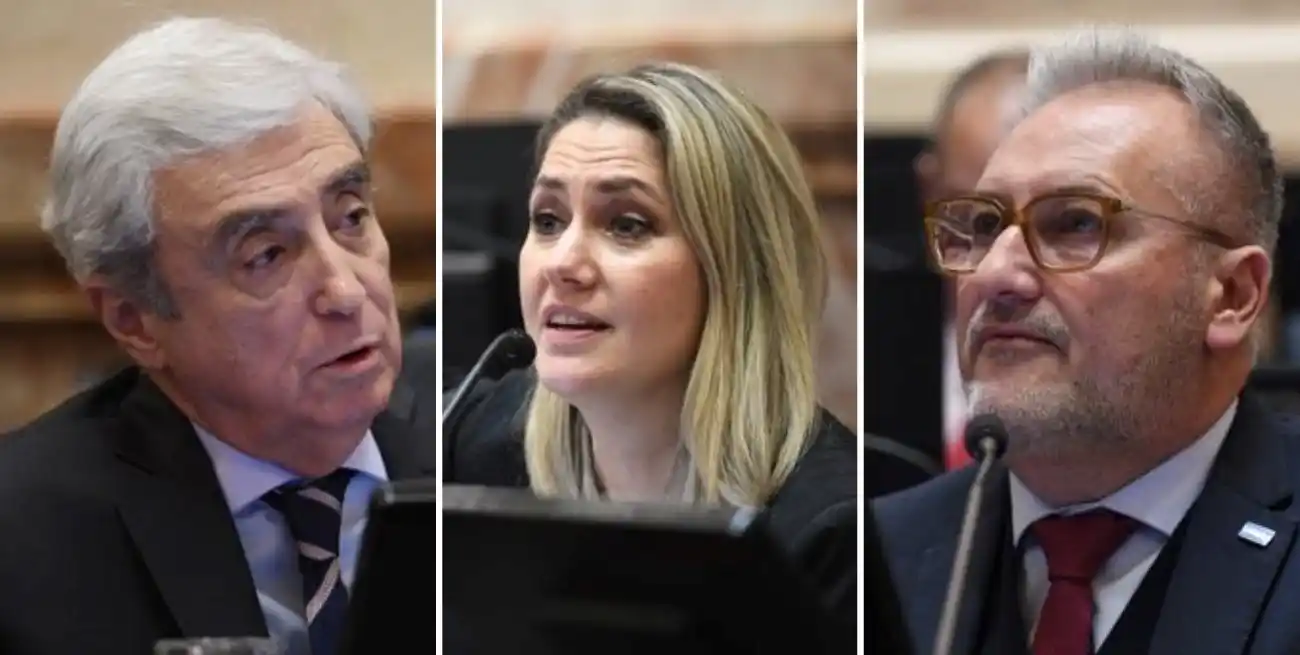 Galaretto, Losada y Lewandoski durante la maratónica sesión en la Cámara Alta. Crédito: Prensa Senado