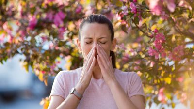 Primavera y alergias