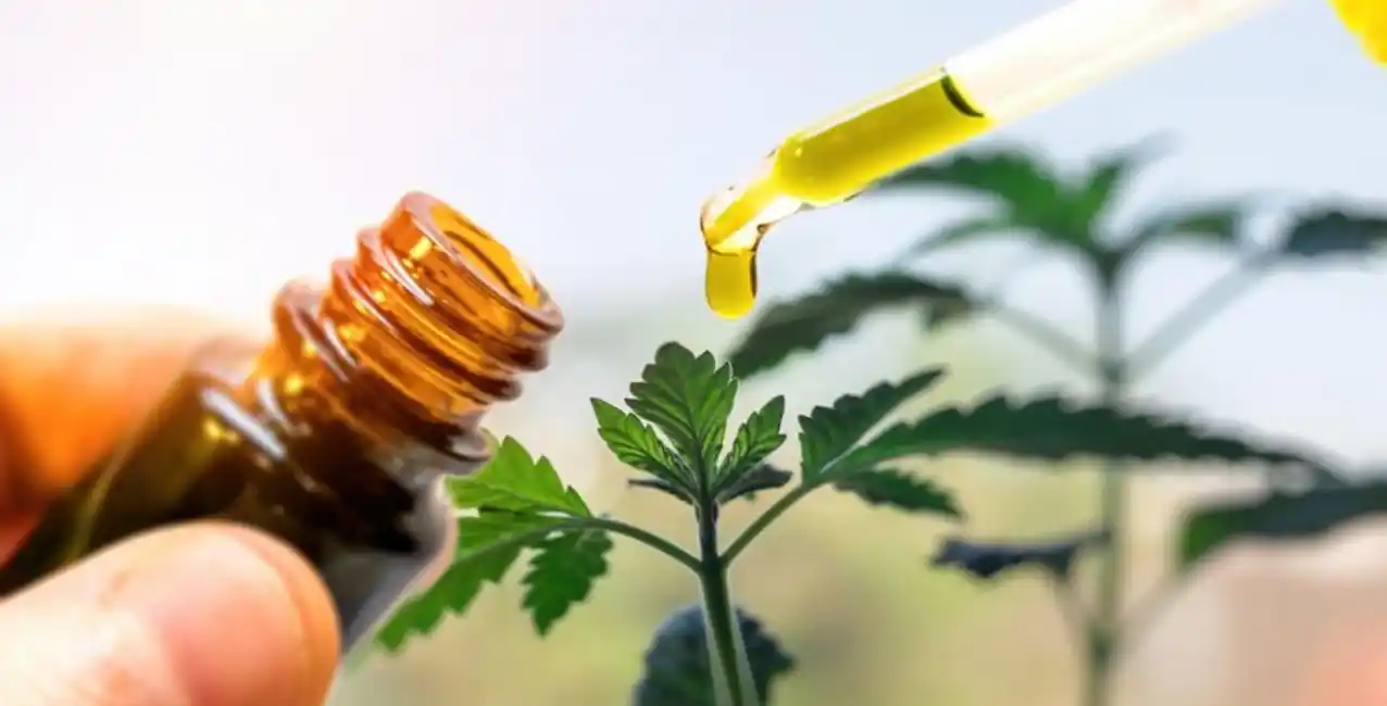 Argentina habilitó la primera planta de producción y procesamiento de cannabis medicinal