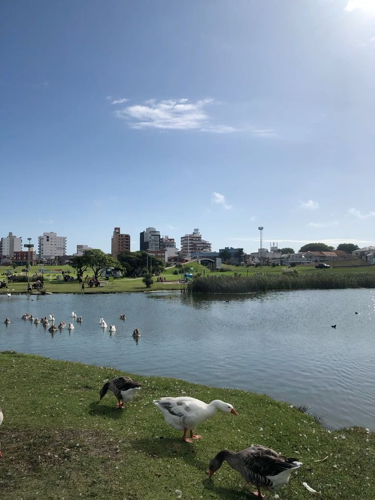 Cielo variable y clima fresco para este martes en Mar del Plata