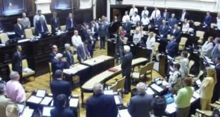 Pángaro asumió como Diputado