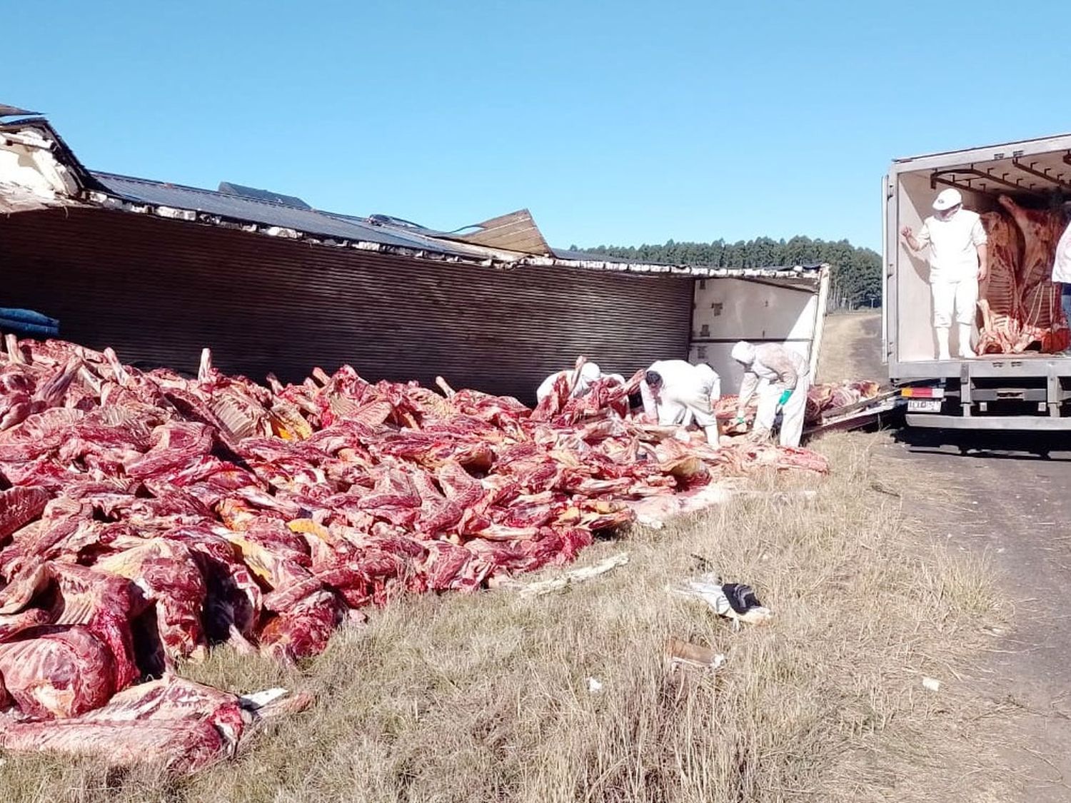 Impactante vuelco: camión frigorífico perdió toneladas de carne