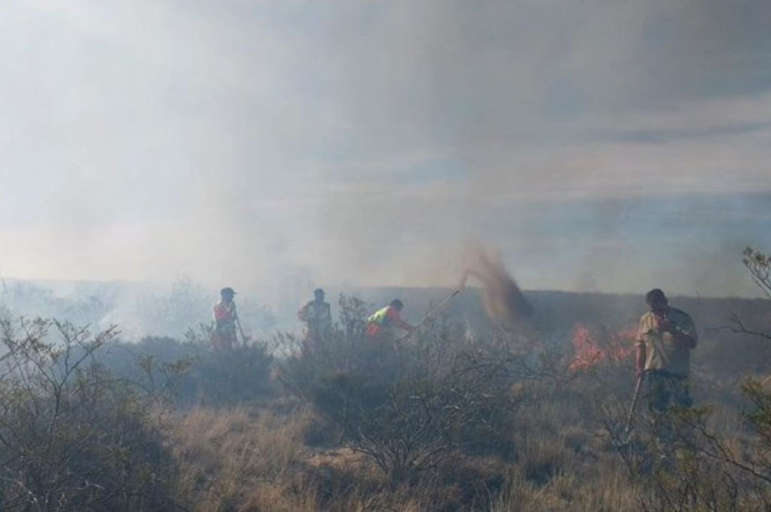 Chubut: combaten un incendio de campos al norte de Puerto Madryn