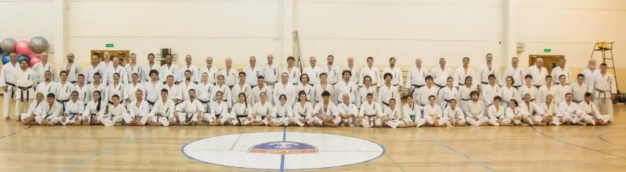 Seminario Internacional de karate