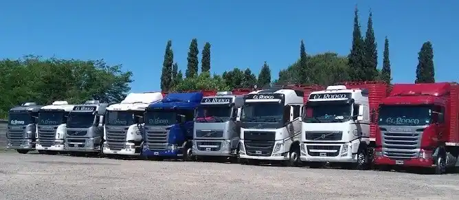 Parte de la flota de transporte de Grupo El Rodeo-