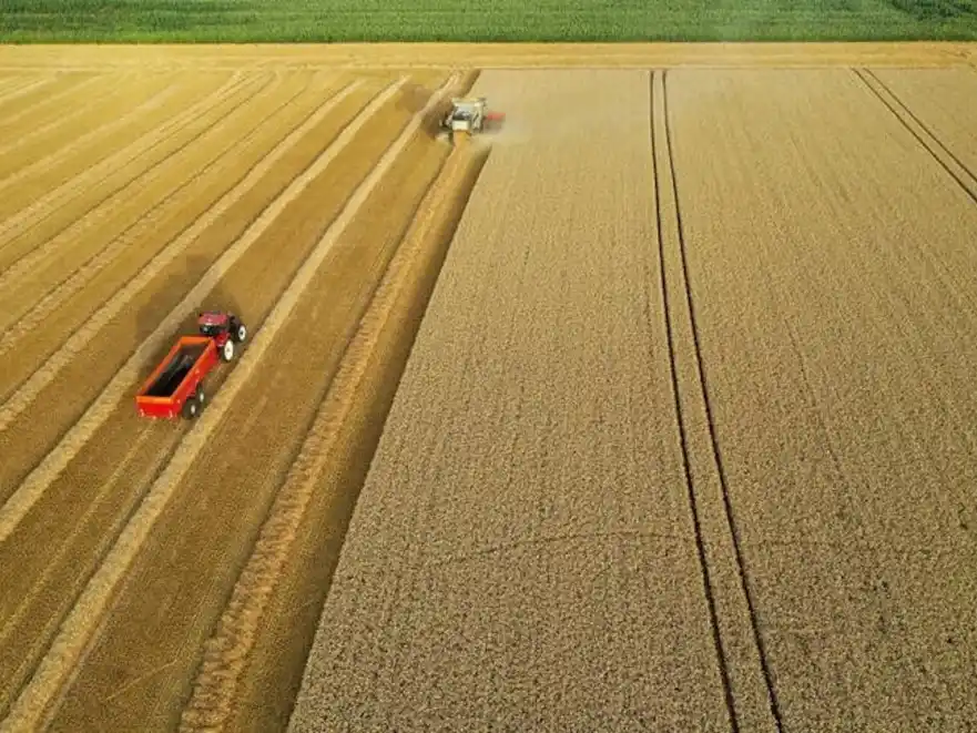 El 2025 cerró con un “salto de optimismo” entre los productores agropecuarios
