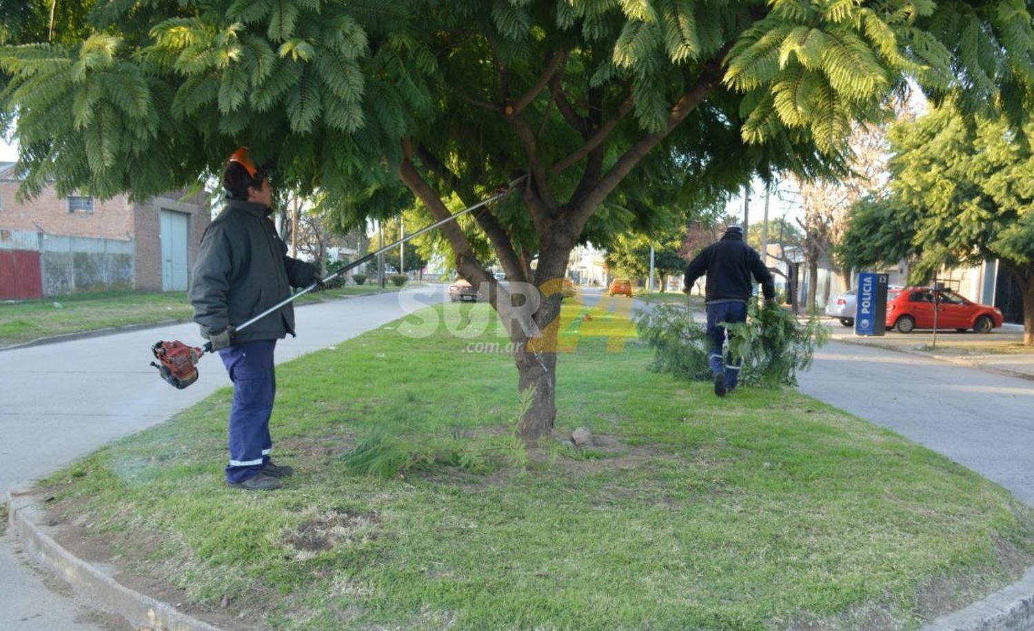 El gobierno municipal continúa profundizando la limpieza con desmalezado y poda