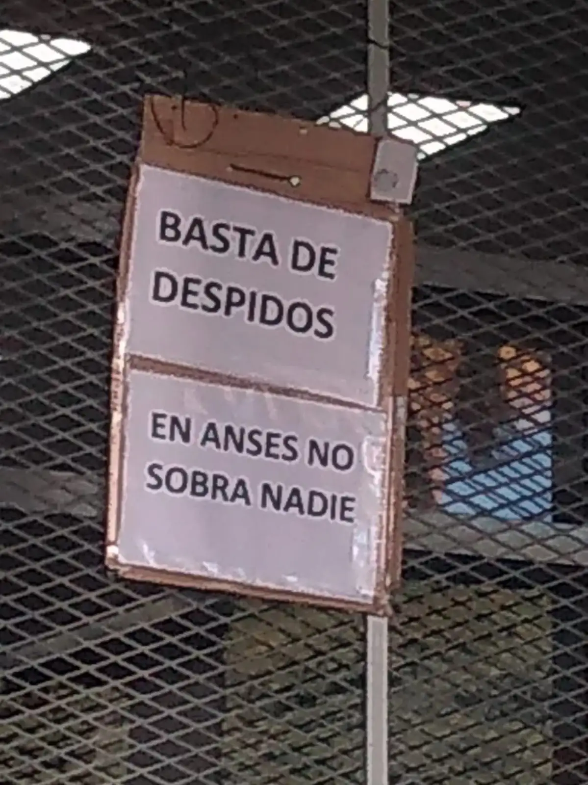 Anses LP