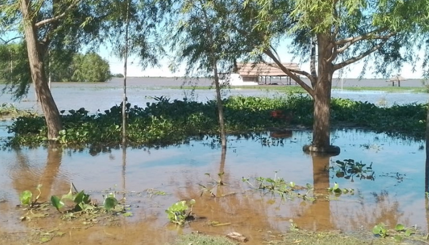 Vuelta de Obligado tapado de agua