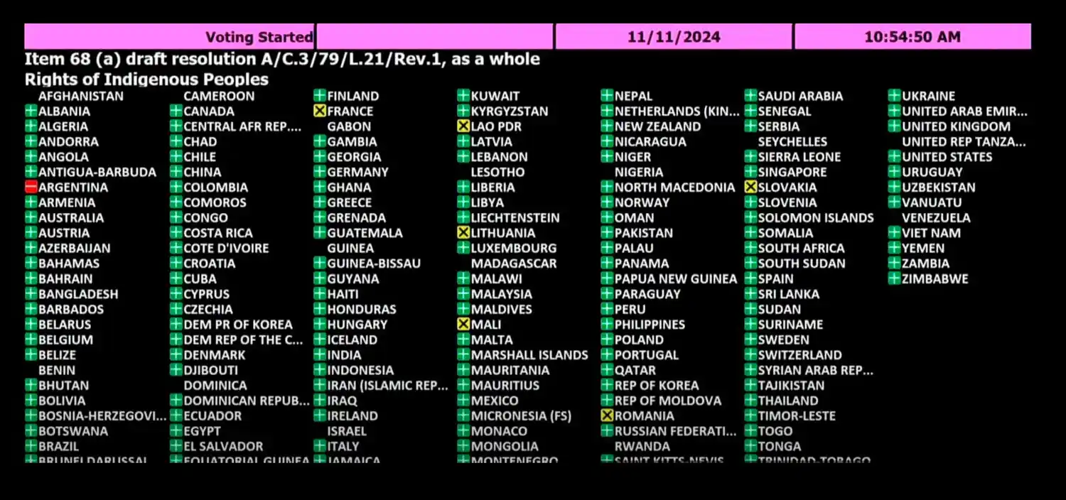 La votación de la resolución sobre los derechos de los pueblos indígenas.