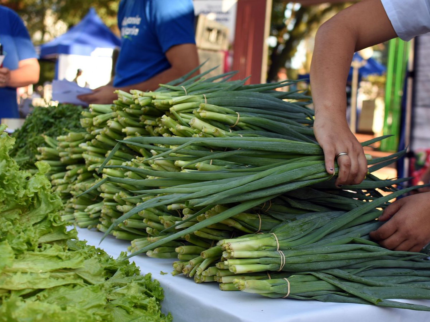 El consumidor pagó por los alimentos 5,8 veces más de lo que cobró el productor