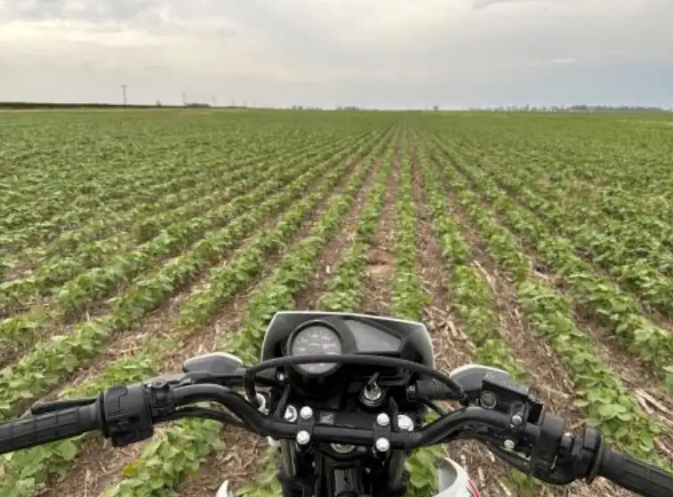 La carrera por abrochar exitosamente una nueva cosecha de gruesa encuentra a la empresa agropecuaria con márgenes apretados.