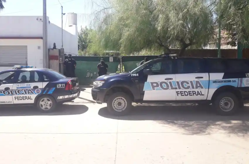 Allanaron una huerta y secuestraron una plantación de marihuana de más de 15 kilos