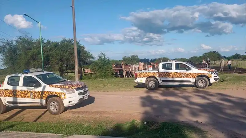 Tenían una tropilla en chacra que ocupaban sin autorización o arrendamiento