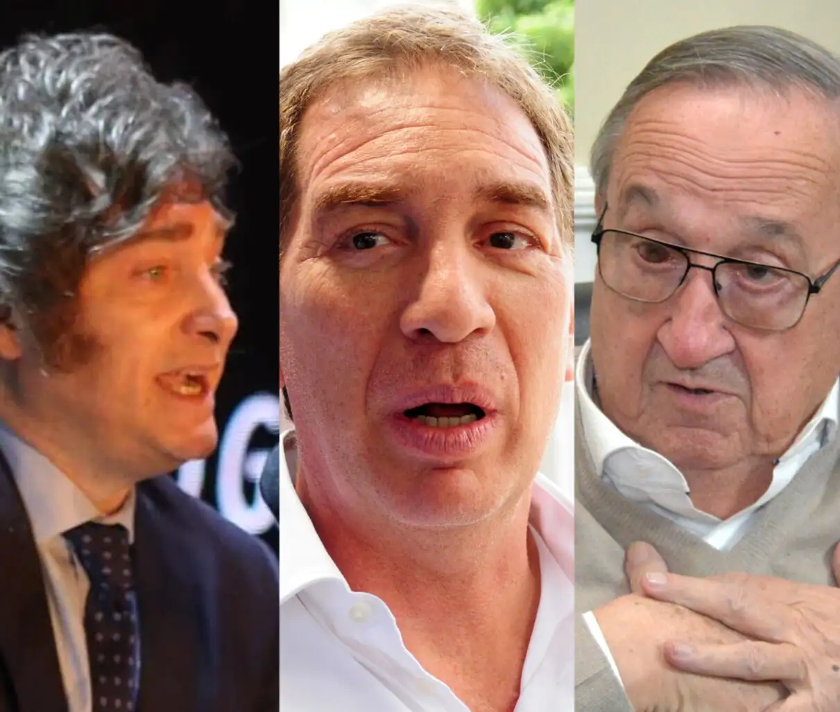 En Tandil: Milei, Santilli y Lunghi, los más votados