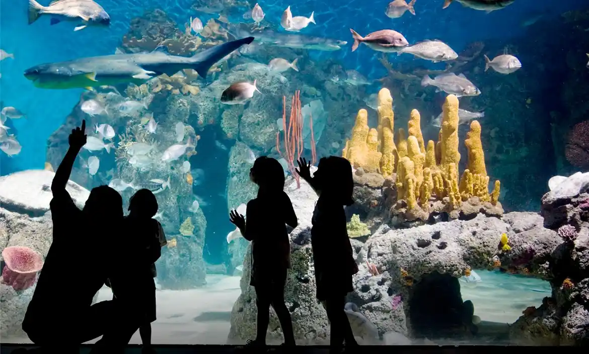 Este otoño Temaikèn presenta la experiencia "La Vida en el Agua"