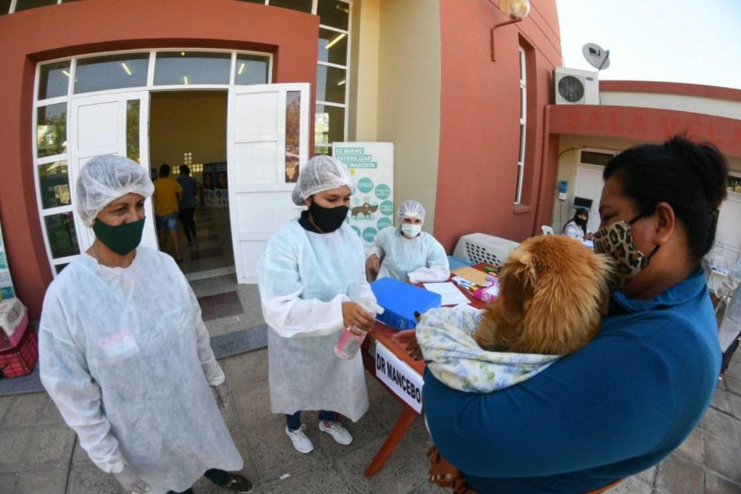 Continúa el programa de asistencia municipal a animales