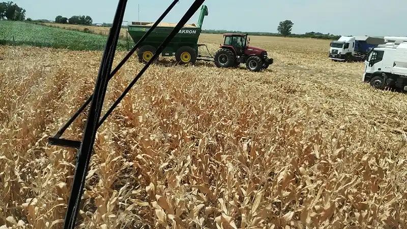 La Federación Agraria de Entre Ríos advierte por el deterioro de los números del sector productivo