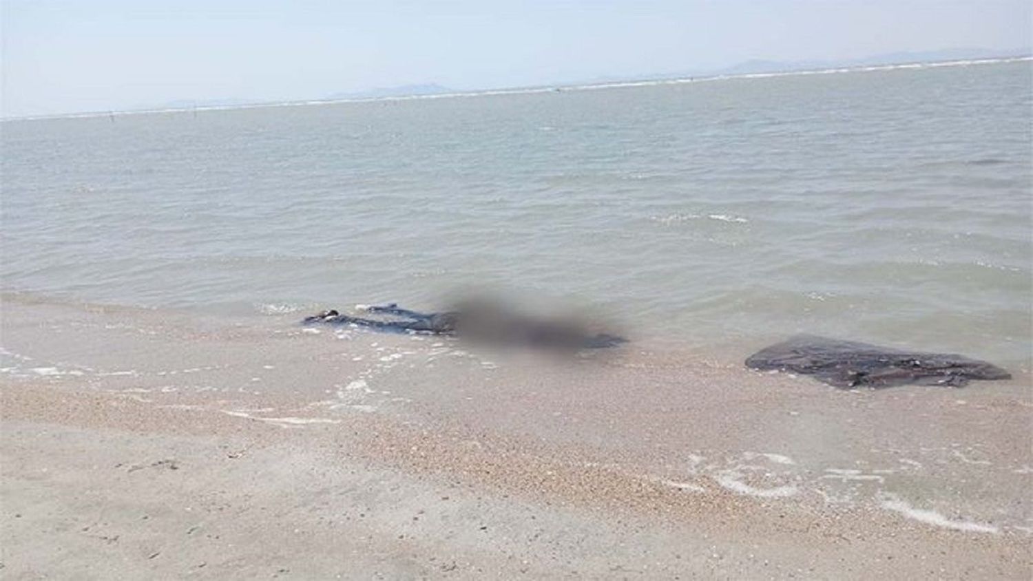 ¡HORRIBLE! Encuentran 8 cadáveres en las costas de México: son migrantes chinos