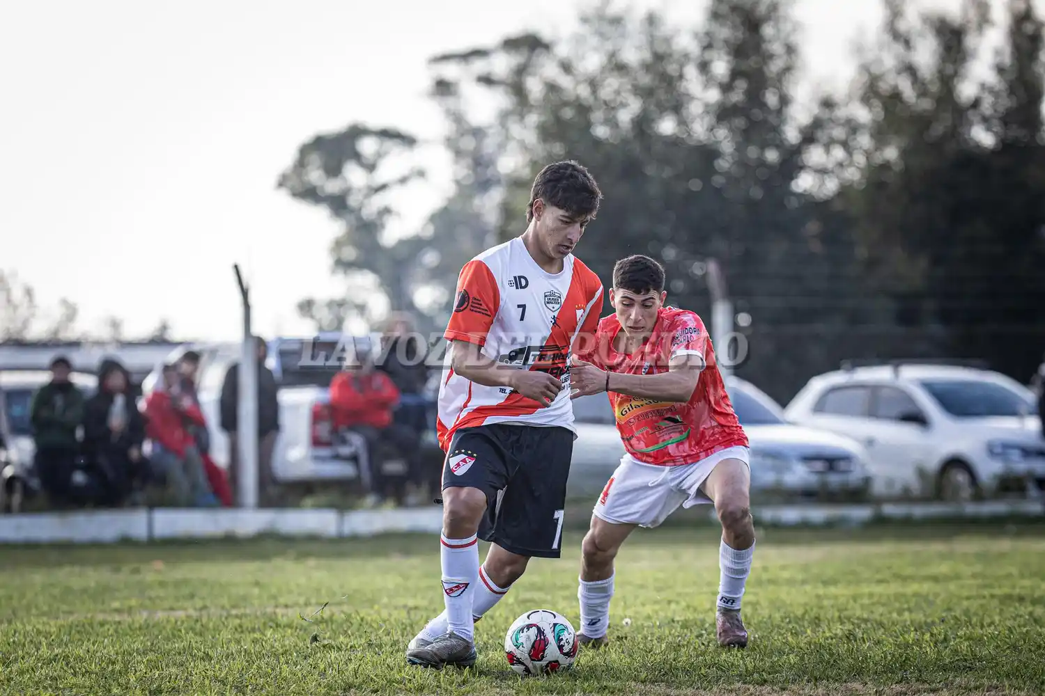 Argentino-agrario - 4