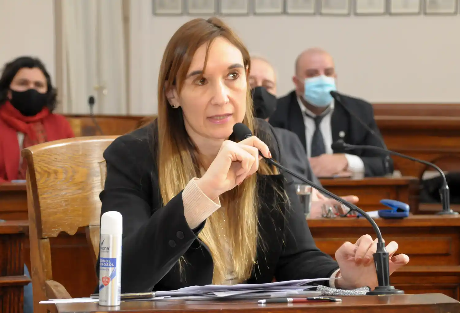 Analizan modificaciones en la ordenanza de carga y descarga por la cantidad de pedidos de reserva