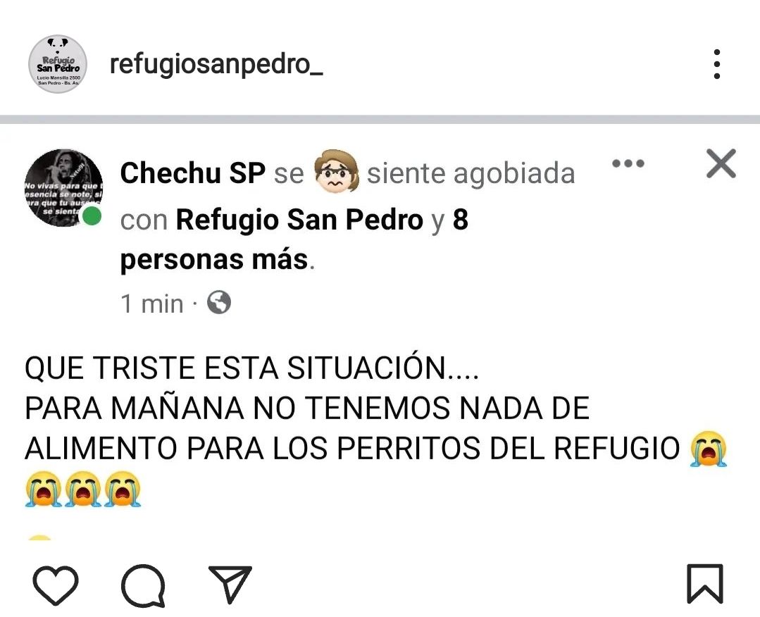 Refugio San Pedro necesita alimento para los perritos que amparan