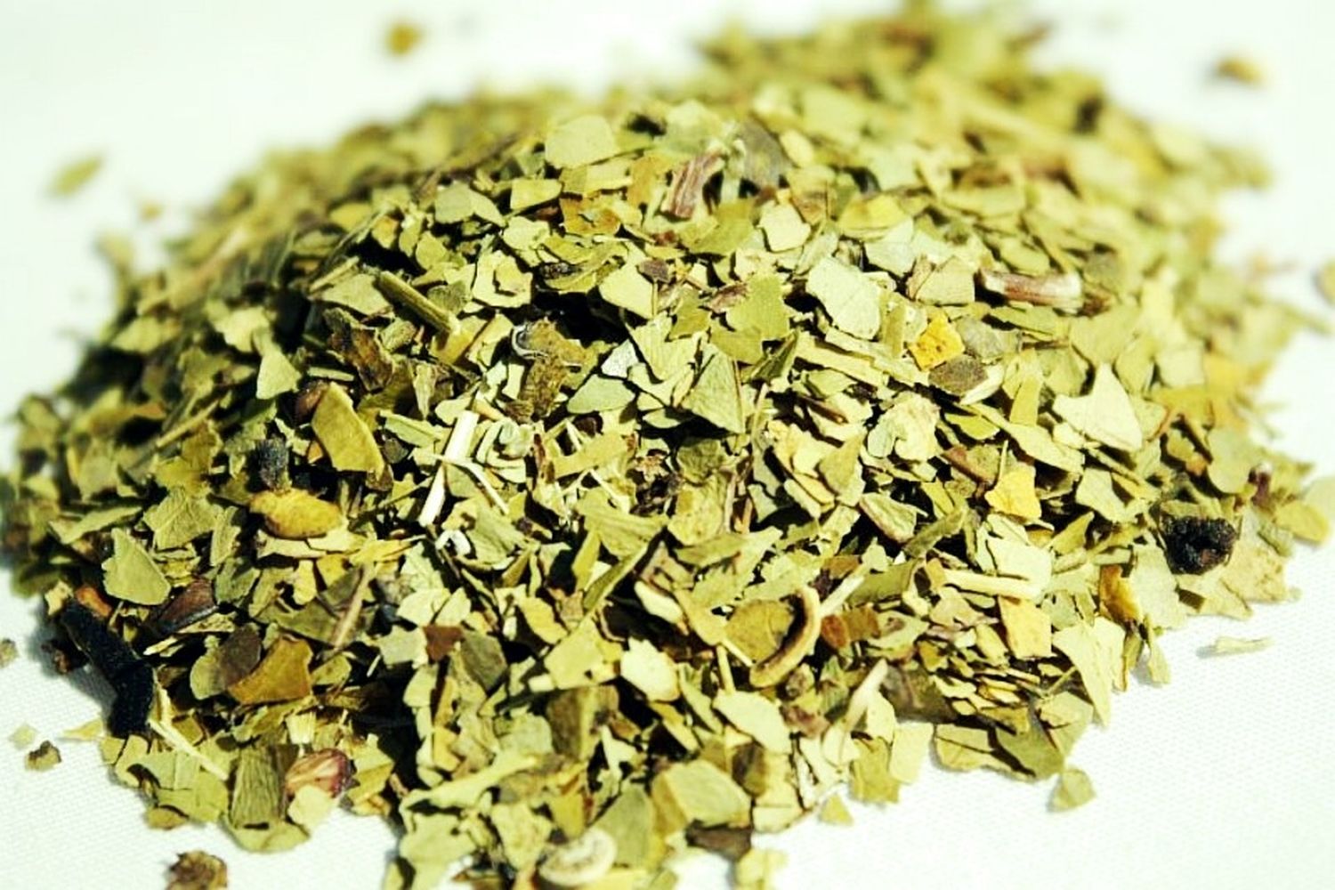 yerba-Matetr-2