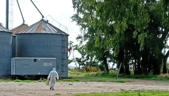 Saladillo confirmó un caso positivo de hantavirus: el afectado es un trabajador rural