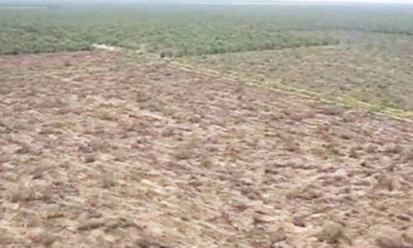 Chaco: multarán a desmontadores de Pampa del Infierno