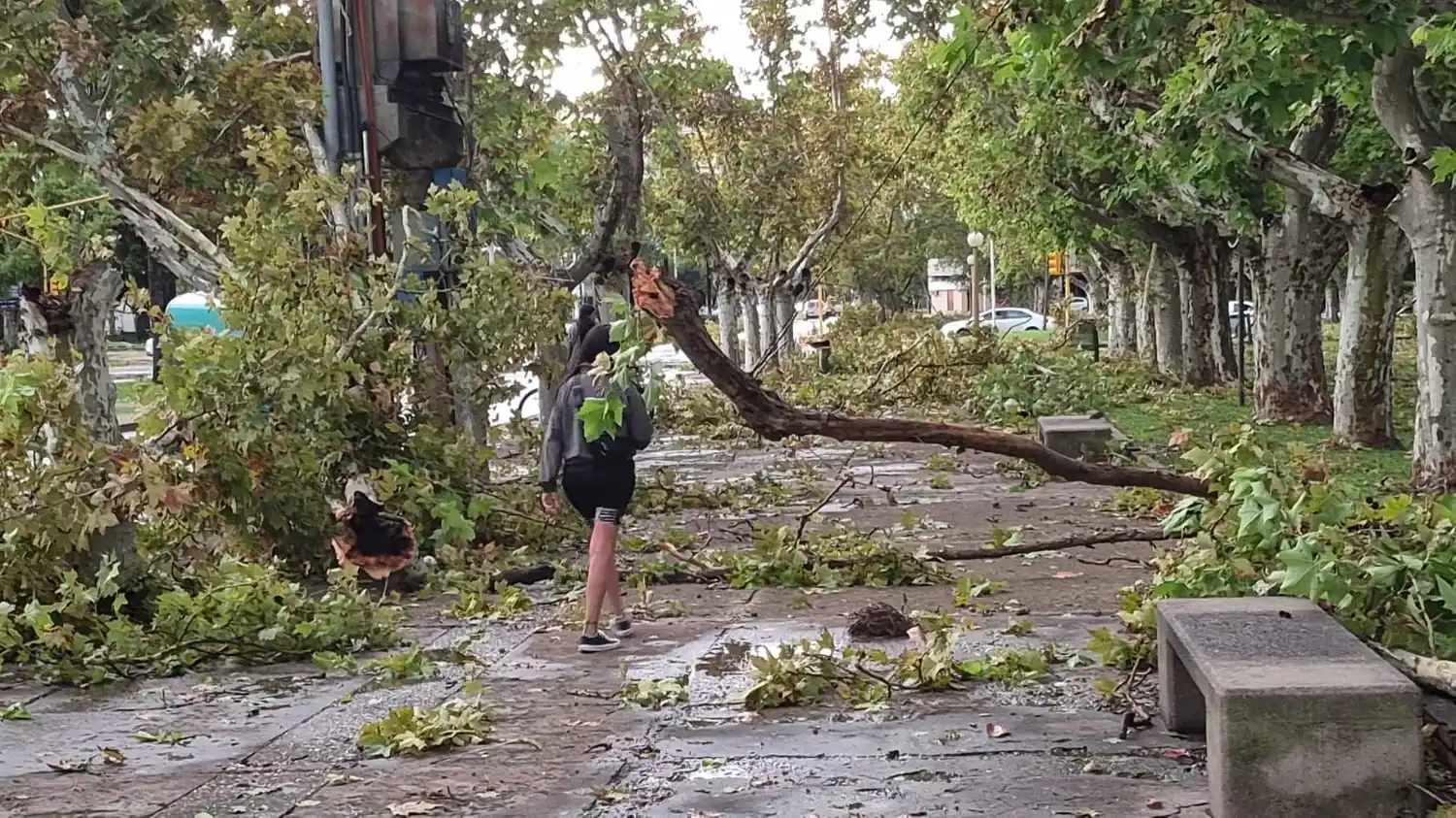 Casilda temporal - 8