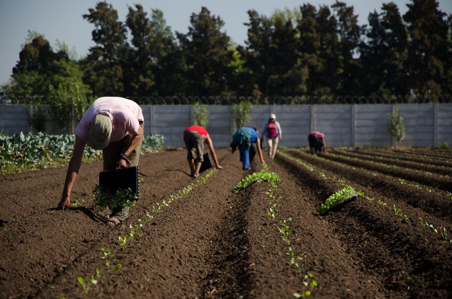 Crean en la provincia de Buenos Aires una Mesa Provincial de Agricultura Familiar