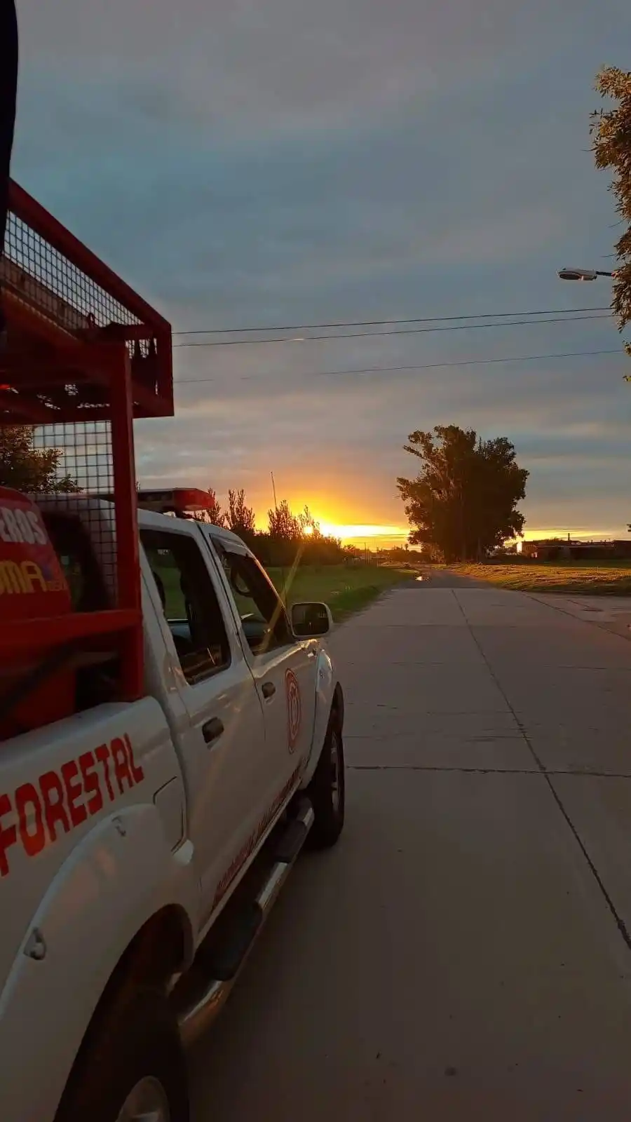 bomberos rescataron un perro que habia caido a un canal - 1
